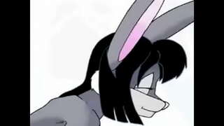 ���ොම් ෆොක්ස් අමන හාවා