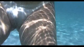 Moto kifaranga ndani ya d, maji katika porto da barra salvador bahia