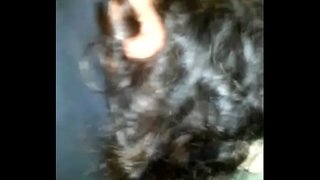 Breek die gat van my stout