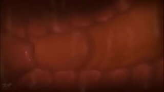 Disfrutá den e ter madures