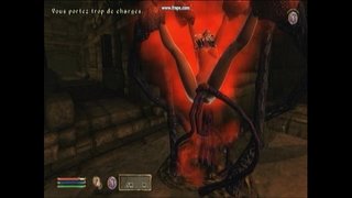 Tentaklo mallumo.avi